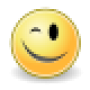 face-wink-40x40.png